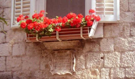 Photos de Carol Rooms