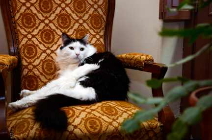 Fotos de Hotel Heliot