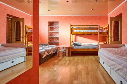 Photos of Birds Nest