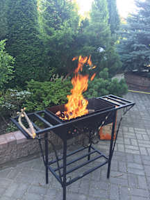 Photos of Birds Nest