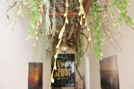 Fotografias de Green Element