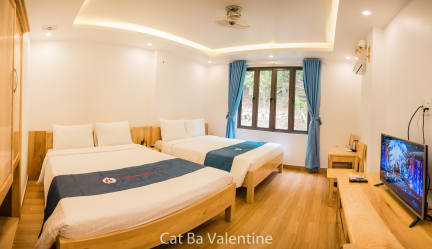 Cat Ba Valentine Hotel照片