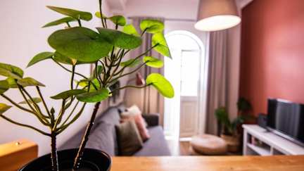 Faro Central - Holiday Apartments의 사진