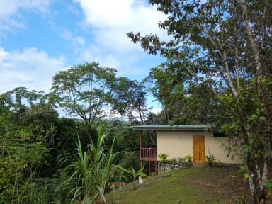 Fotky Tapiru's house, Drake Bay