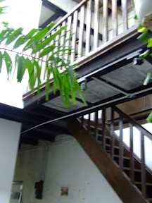 Fotky Jalan-Jalan Emas