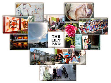 The Lily Padの写真
