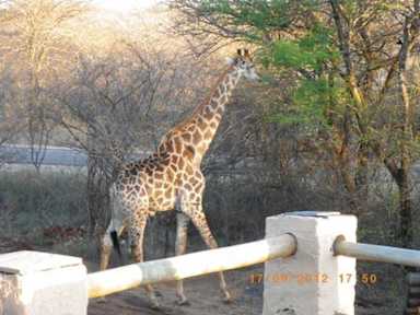 Billeder af Kruger Inn Backpackers