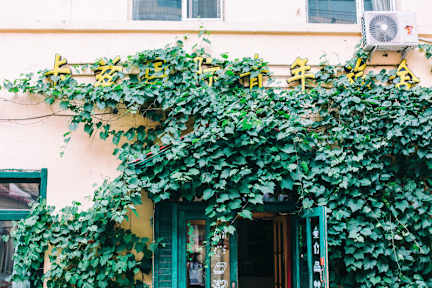 Foto's van Kazy International Youth Hostel Harbin