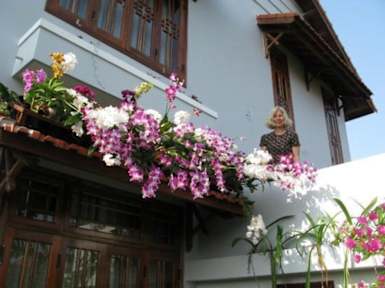 Kuvia paikasta: Orchid Garden Resort