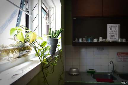 Photos de Travel Hub Guesthouse
