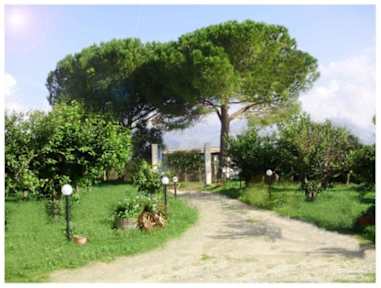 Fotos de Il Bracco Bed and Breakfast Partinico