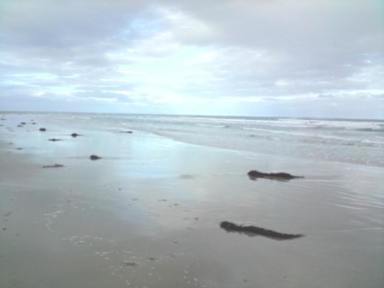 Fotos de Anglesea Backpackers