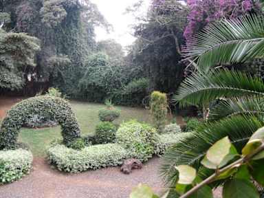 Cottage Nairobi tesisinden Fotoğraflar