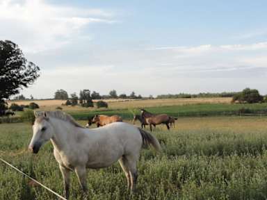 Фотографии El Galope Horse Farm