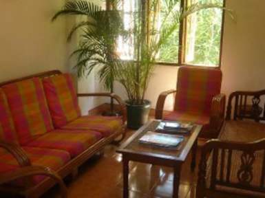 Kuvia paikasta: Palm Garden Guest House