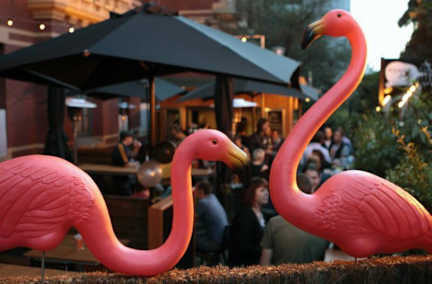 Фотографии The Mansion Melbourne