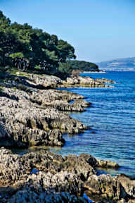 Фотографии Buzz Hostel - Split Beach