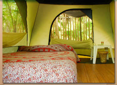 Cenote Encantado Tulum Eco-Glamping Camp tesisinden Fotoğraflar