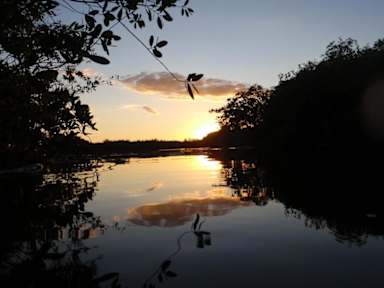 Cenote Encantado Tulum Eco-Glamping Camp tesisinden Fotoğraflar
