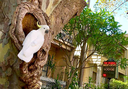 The Original Backpackers Hostel tesisinden Fotoğraflar