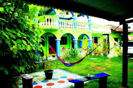 Iguana Hostel照片