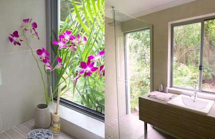Billeder af Noosa Flashpackers
