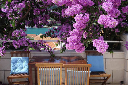 Photos of Apartments Husanovic