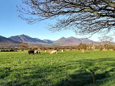 Photos of Inveraray Farm