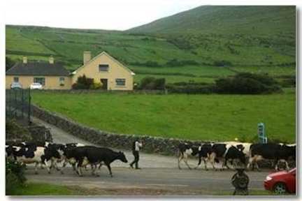 Billeder af Garveys Farm House