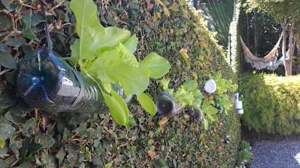 Joinville Hostel E Pousada照片