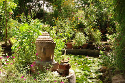 Photos of Hotel Zen