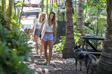 Beds on Bohio Hostel & Surf Schoolの写真