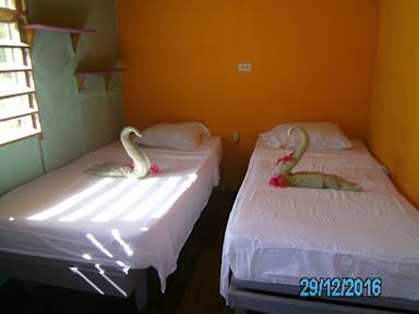Fotos de The Funky Dodo Backpackers Hostel