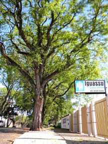 Foto di Iguassu Guest House