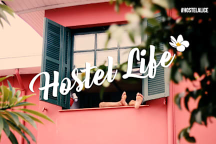 Foton av Hostel Alice