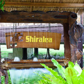 Shiralea Island Resortの写真
