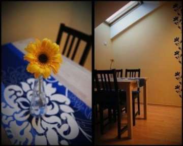 Photos of Green Hostel Wroclaw