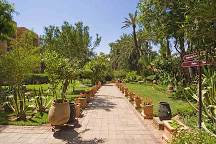 Zdjęcia nagrodzone Hotel Semiramis Marrakech