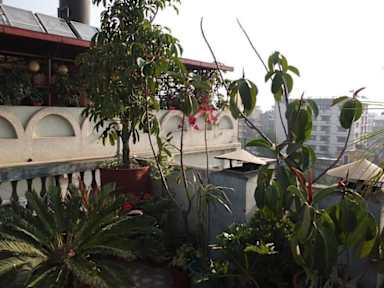 Festoon Hotel照片