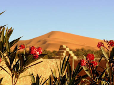 Фотографии La Valle des Dunes