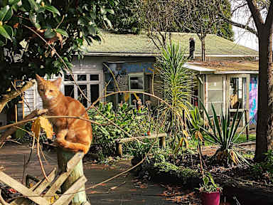 Fat Cat Travellers Community照片