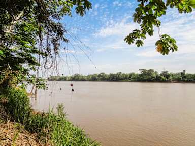 Billeder af Tambopata River Bungalows