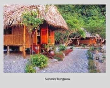 Foto di Monkey Island Resort