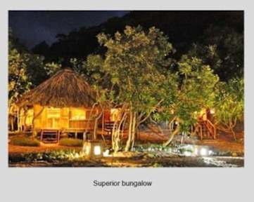 Foto di Monkey Island Resort