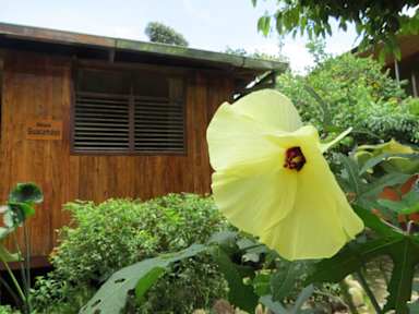 Kuvia paikasta: Gallito de las Rocas Lodge