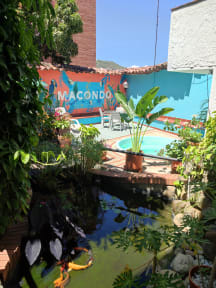 Macondo Hostelの写真