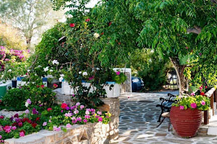 Photos of Studios Tasia