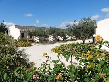 Bilder av Lilybeo Village