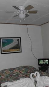 Kuvia paikasta: Costa Rica Love Apartments & rooms 2