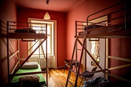 Bilder av Wild Elephants Hostel